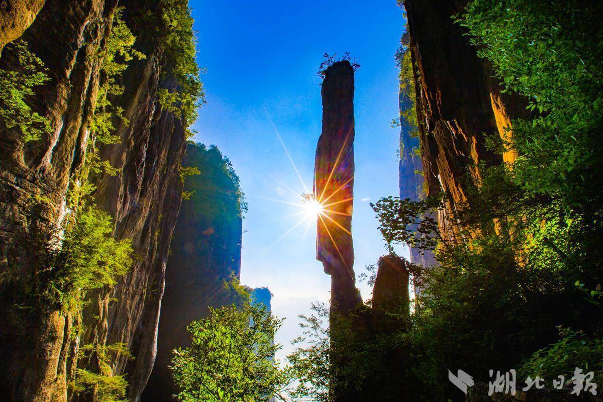 澳门银银河网
